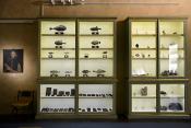 museo di storia naturale bologna 8-2022 3997